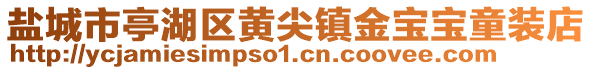 鹽城市亭湖區黃尖鎮金寶寶童裝店