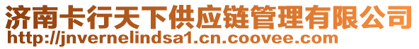 濟南卡行天下供應鏈管理有限公司