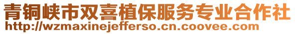 青銅峽市雙喜植保服務(wù)專業(yè)合作社