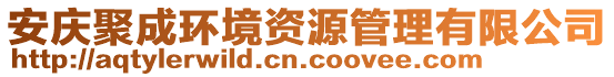 安慶聚成環(huán)境資源管理有限公司