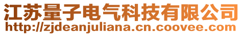 江蘇量子電氣科技有限公司