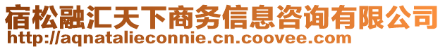 宿松融匯天下商務信息咨詢有限公司