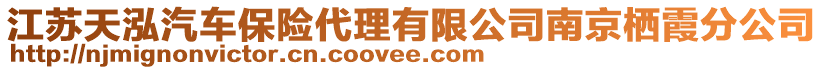 江蘇天泓汽車保險(xiǎn)代理有限公司南京棲霞分公司