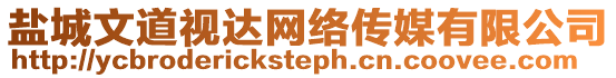 鹽城文道視達網絡傳媒有限公司