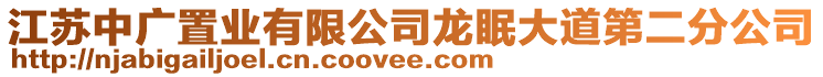 江蘇中廣置業(yè)有限公司龍眠大道第二分公司