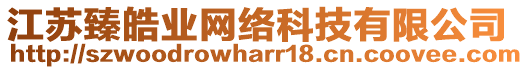 江蘇臻皓業(yè)網(wǎng)絡(luò)科技有限公司