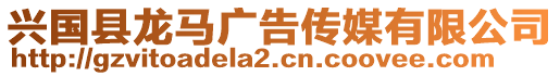 興國(guó)縣龍馬廣告?zhèn)髅接邢薰? style=