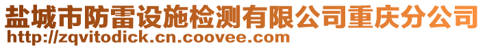 鹽城市防雷設(shè)施檢測有限公司重慶分公司