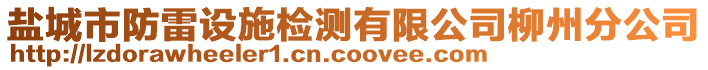 鹽城市防雷設施檢測有限公司柳州分公司