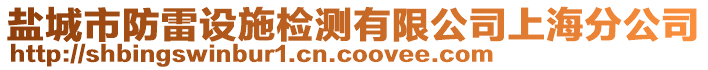 盐城市防雷设施检测有限公司上海分公司