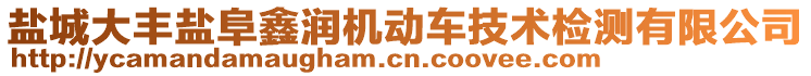 鹽城大豐鹽阜鑫潤(rùn)機(jī)動(dòng)車技術(shù)檢測(cè)有限公司