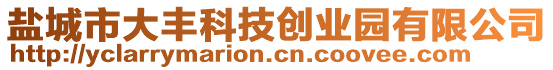 鹽城市大豐科技創(chuàng)業(yè)園有限公司