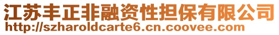 江蘇豐正非融資性擔(dān)保有限公司