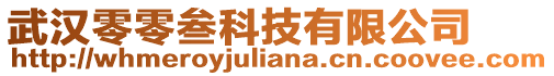 武漢零零叁科技有限公司