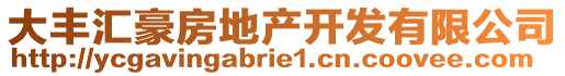 大豐匯豪房地產(chǎn)開(kāi)發(fā)有限公司