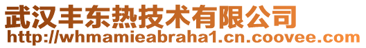 武汉丰东热技术有限公司