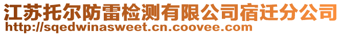 江蘇托爾防雷檢測有限公司宿遷分公司