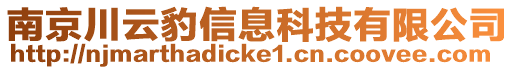 南京川云豹信息科技有限公司