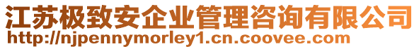 江蘇極致安企業(yè)管理咨詢有限公司