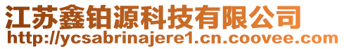 江蘇鑫鉑源科技有限公司