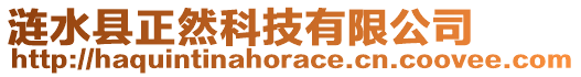 漣水縣正然科技有限公司