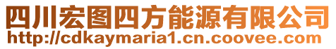 四川宏圖四方能源有限公司