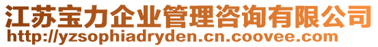 江蘇寶力企業(yè)管理咨詢有限公司