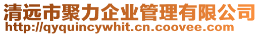 清遠市聚力企業管理有限公司