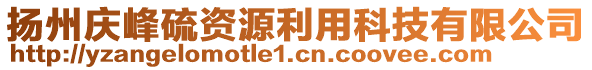 揚(yáng)州慶峰硫資源利用科技有限公司