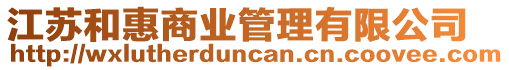 江蘇和惠商業(yè)管理有限公司