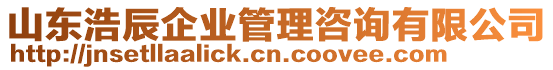 山東浩辰企業(yè)管理咨詢有限公司