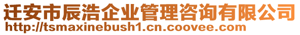 遷安市辰浩企業(yè)管理咨詢有限公司