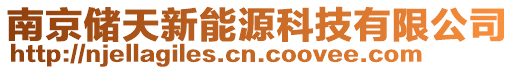 南京儲(chǔ)天新能源科技有限公司