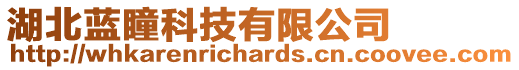 湖北藍(lán)瞳科技有限公司