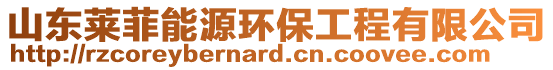 山東萊菲能源環(huán)保工程有限公司