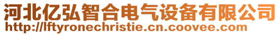 河北億弘智合電氣設備有限公司