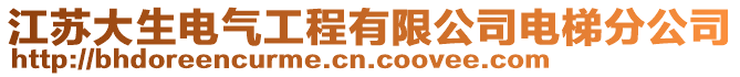 江蘇大生電氣工程有限公司電梯分公司