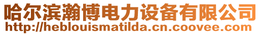 哈爾濱瀚博電力設(shè)備有限公司