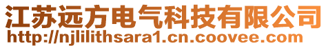 江苏远方电气科技有限公司