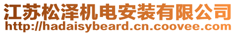 江蘇松澤機(jī)電安裝有限公司