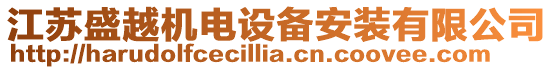 江蘇盛越機(jī)電設(shè)備安裝有限公司