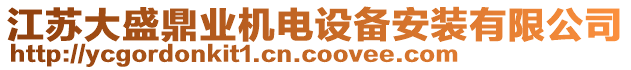 江苏大盛鼎业机电设备安装有限公司