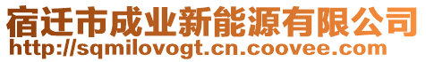 宿遷市成業(yè)新能源有限公司