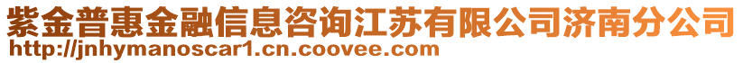 紫金普惠金融信息咨詢江蘇有限公司濟南分公司