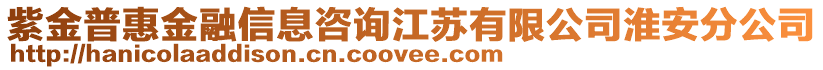 紫金普惠金融信息咨詢江蘇有限公司淮安分公司