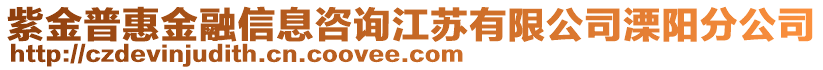 紫金普惠金融信息咨詢江蘇有限公司溧陽(yáng)分公司