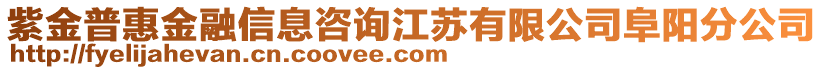 紫金普惠金融信息咨詢江蘇有限公司阜陽分公司