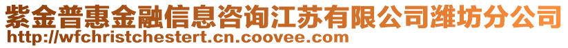 紫金普惠金融信息咨詢江蘇有限公司濰坊分公司