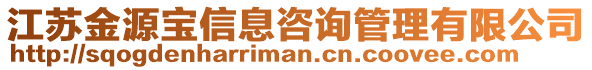 江蘇金源寶信息咨詢管理有限公司