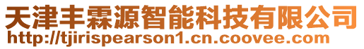 天津豐霖源智能科技有限公司